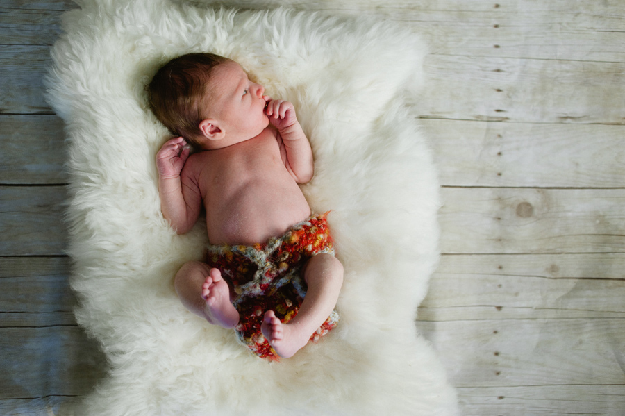 Austin newborn photographer